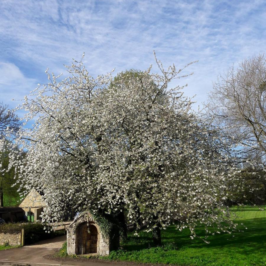 Wayside House B&B Whichford Екстер'єр фото